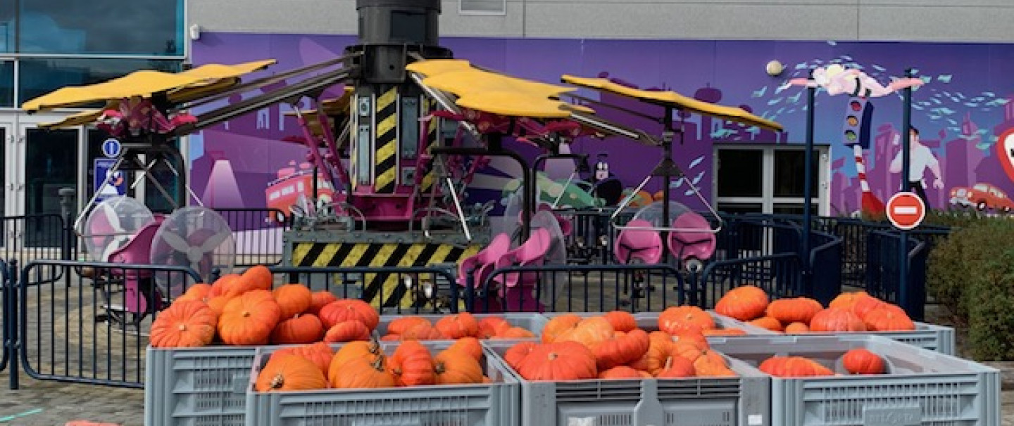 Plopsa Indoor Hasselt schenkt pompoenen aan Depot Margo