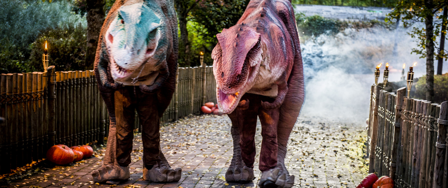 PLOPSALAND LA PANNE REÇOIT TOUS LES CÉLIBATAIRES AU TARIF ENFANT