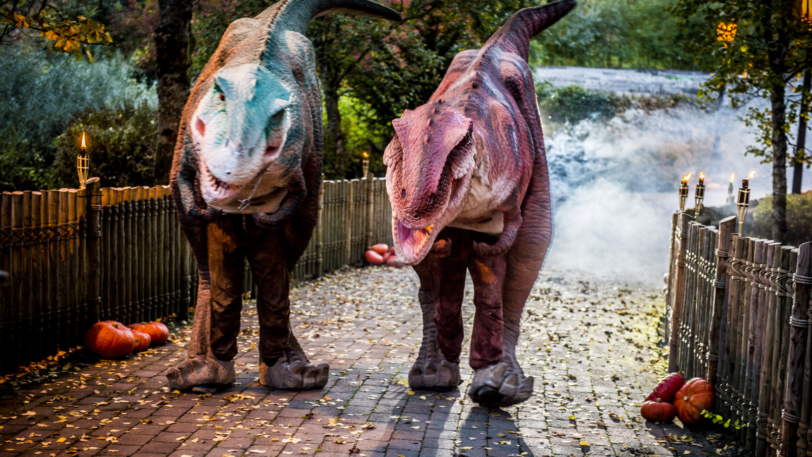 PLOPSALAND LA PANNE REÇOIT TOUS LES CÉLIBATAIRES AU TARIF ENFANT