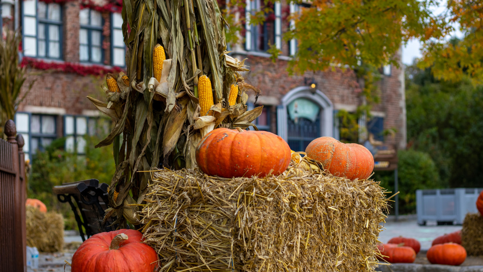 Halloween Plopsaland De Panne 3.jpg