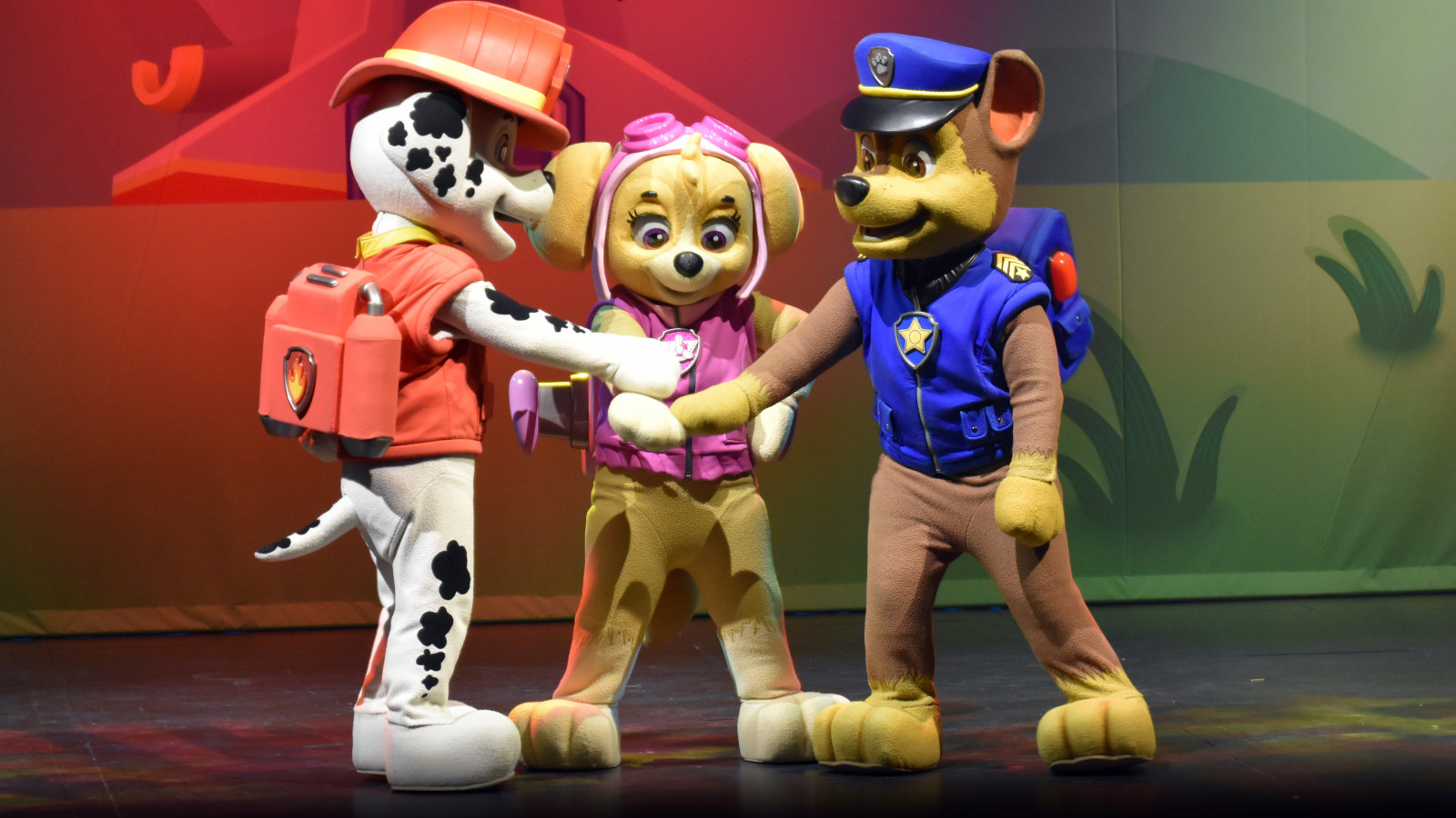 PAW Patrol in Plopsaland De Panne 1.jpg