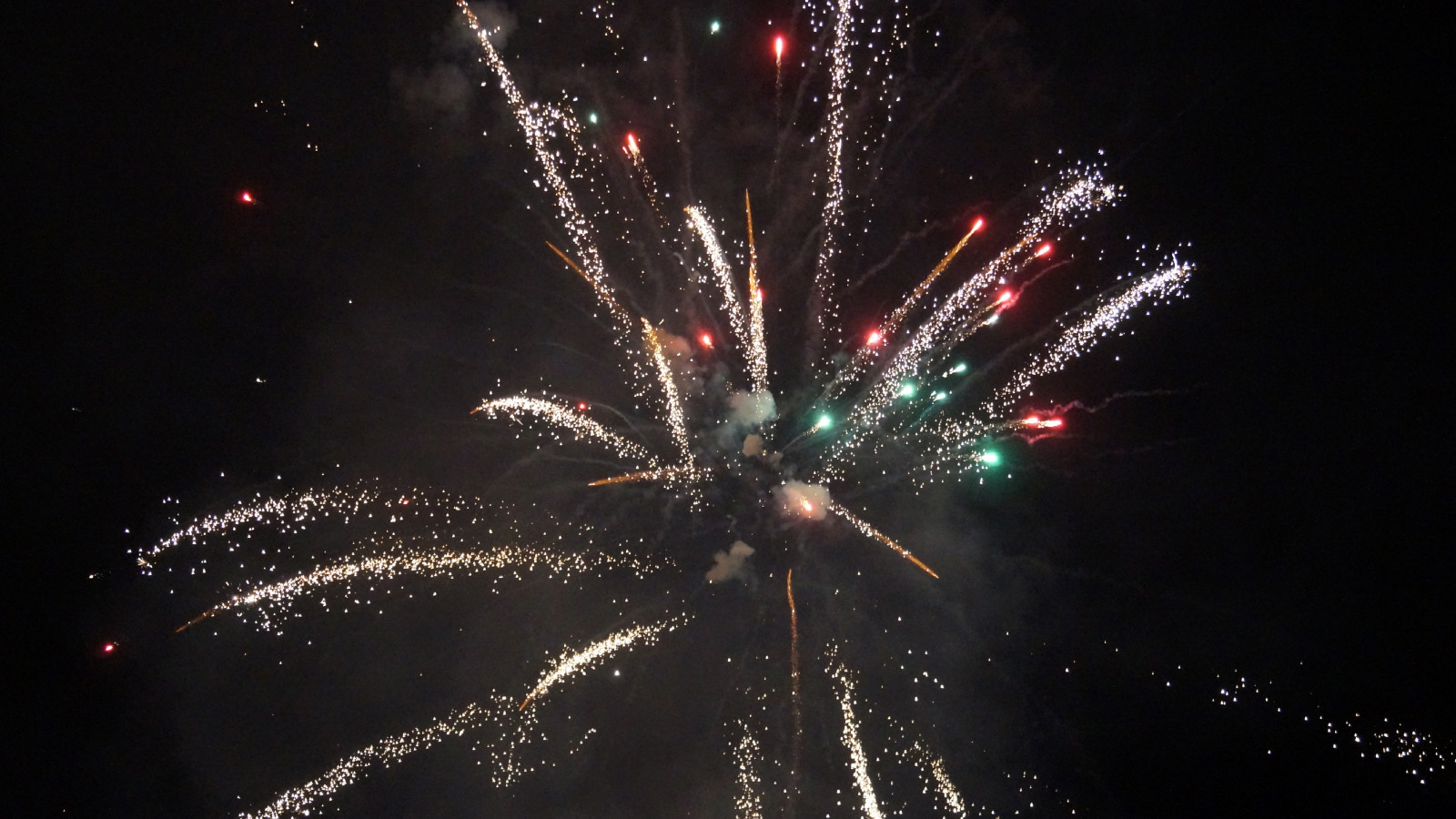 Eerste festival in Plopsaland De Panne